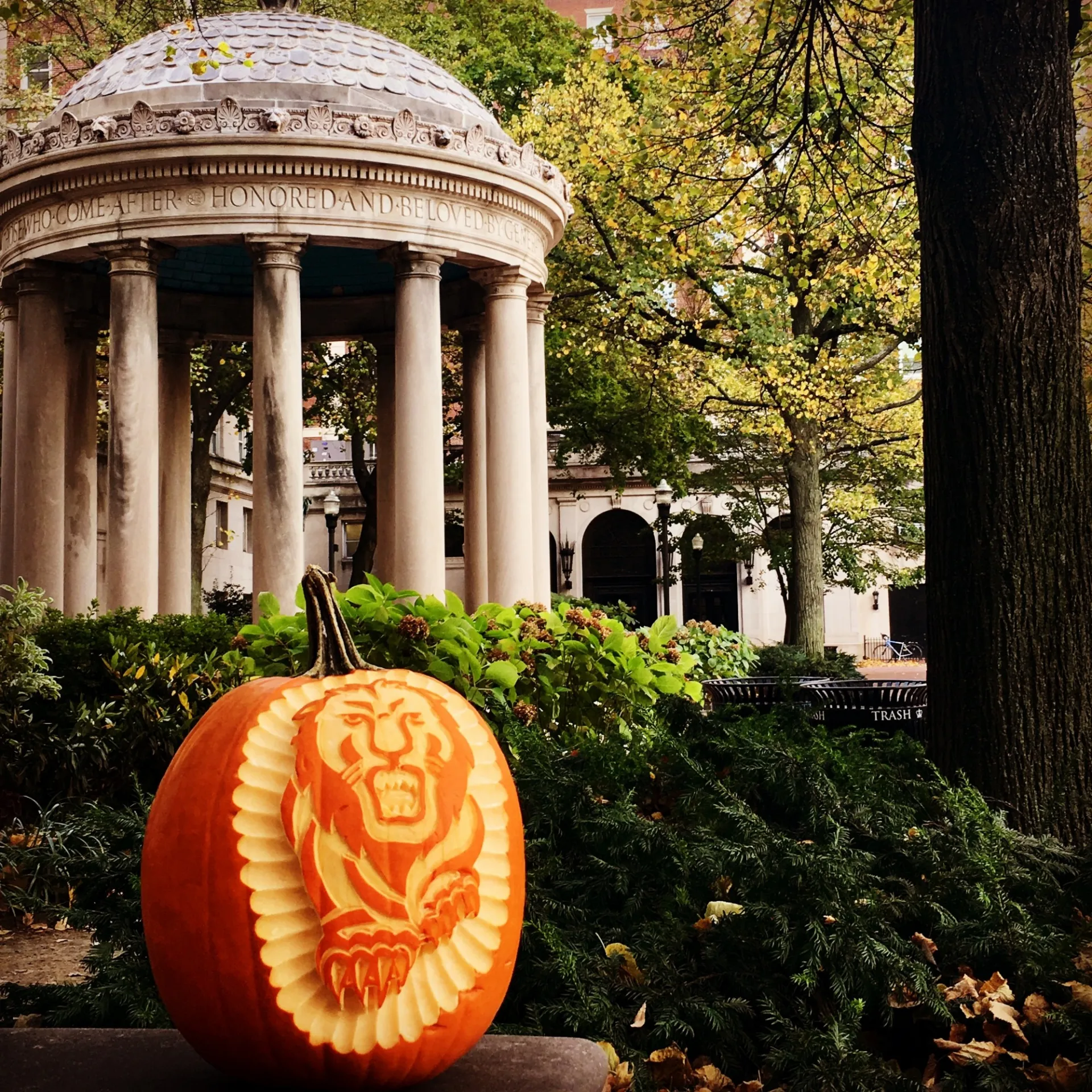 A pumpkin in Van Amringe quad. 