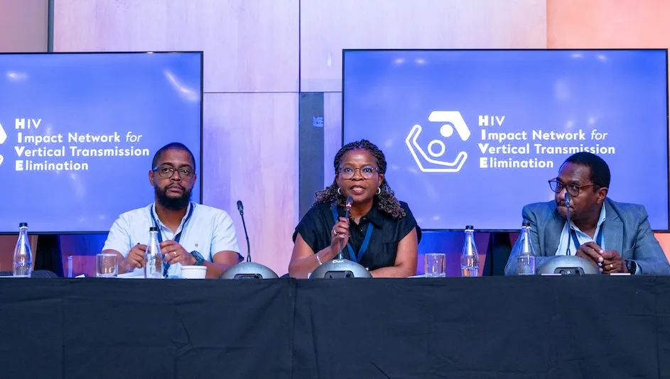 Panelists lead a discussion during the launch of ICAP's HIVE Project in Johannesburg, South Africa.